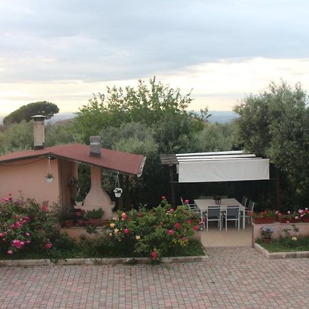 B&B La Terrazza Di Frascati Eksteriør bilde