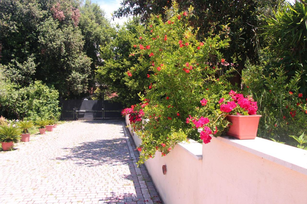 B&B La Terrazza Di Frascati Eksteriør bilde