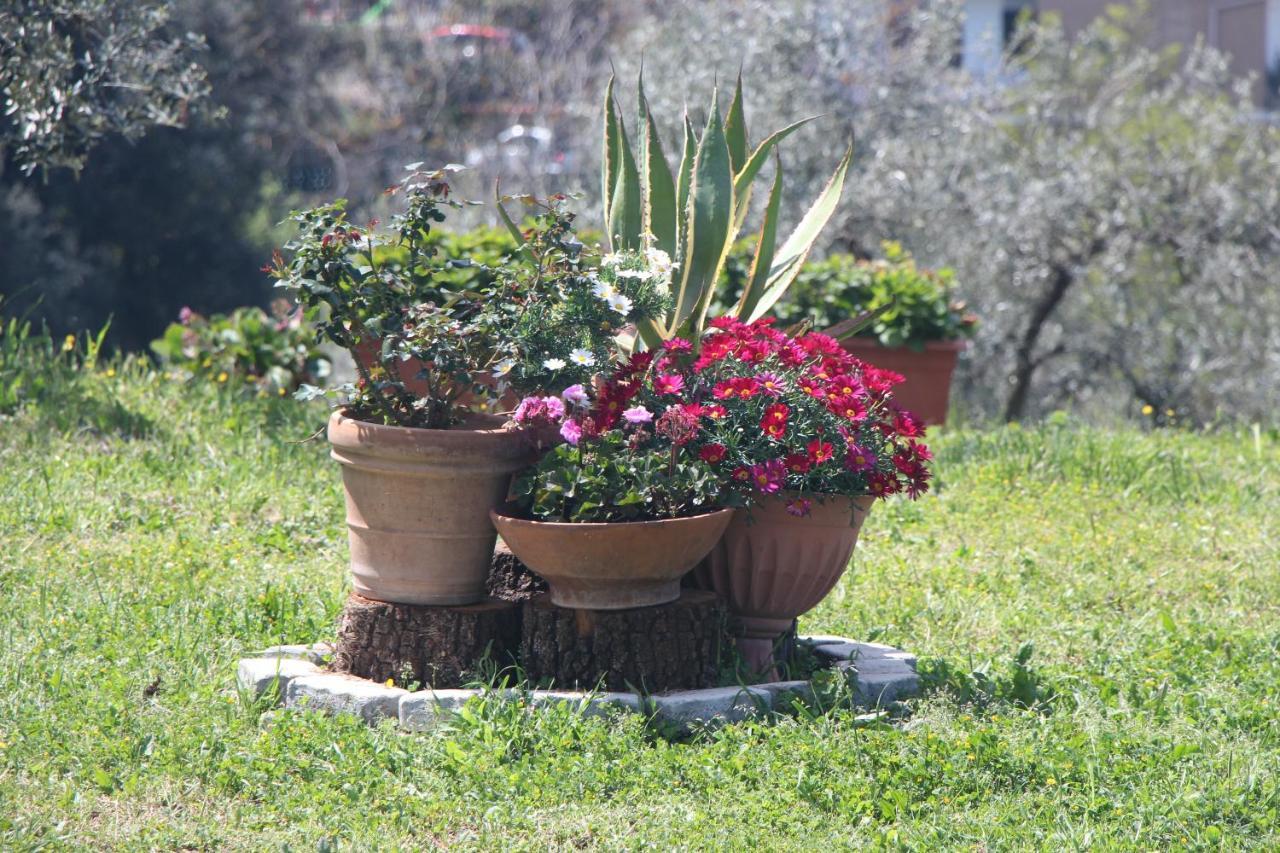 B&B La Terrazza Di Frascati Eksteriør bilde