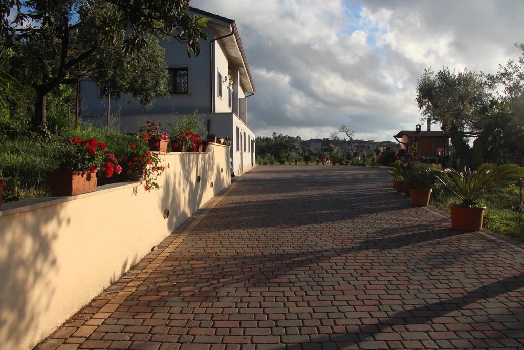 B&B La Terrazza Di Frascati Eksteriør bilde
