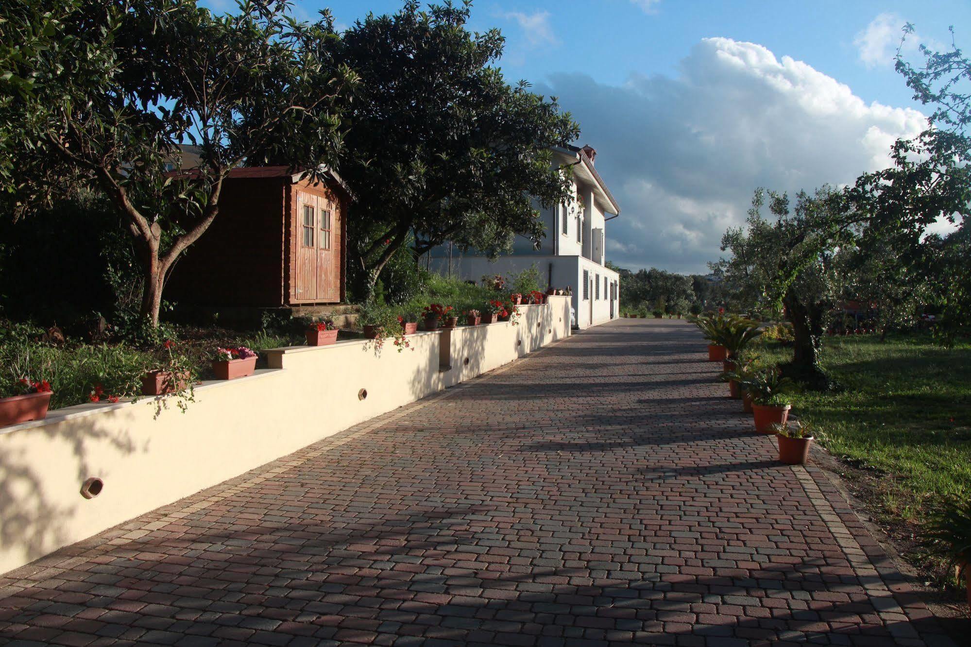 B&B La Terrazza Di Frascati Eksteriør bilde