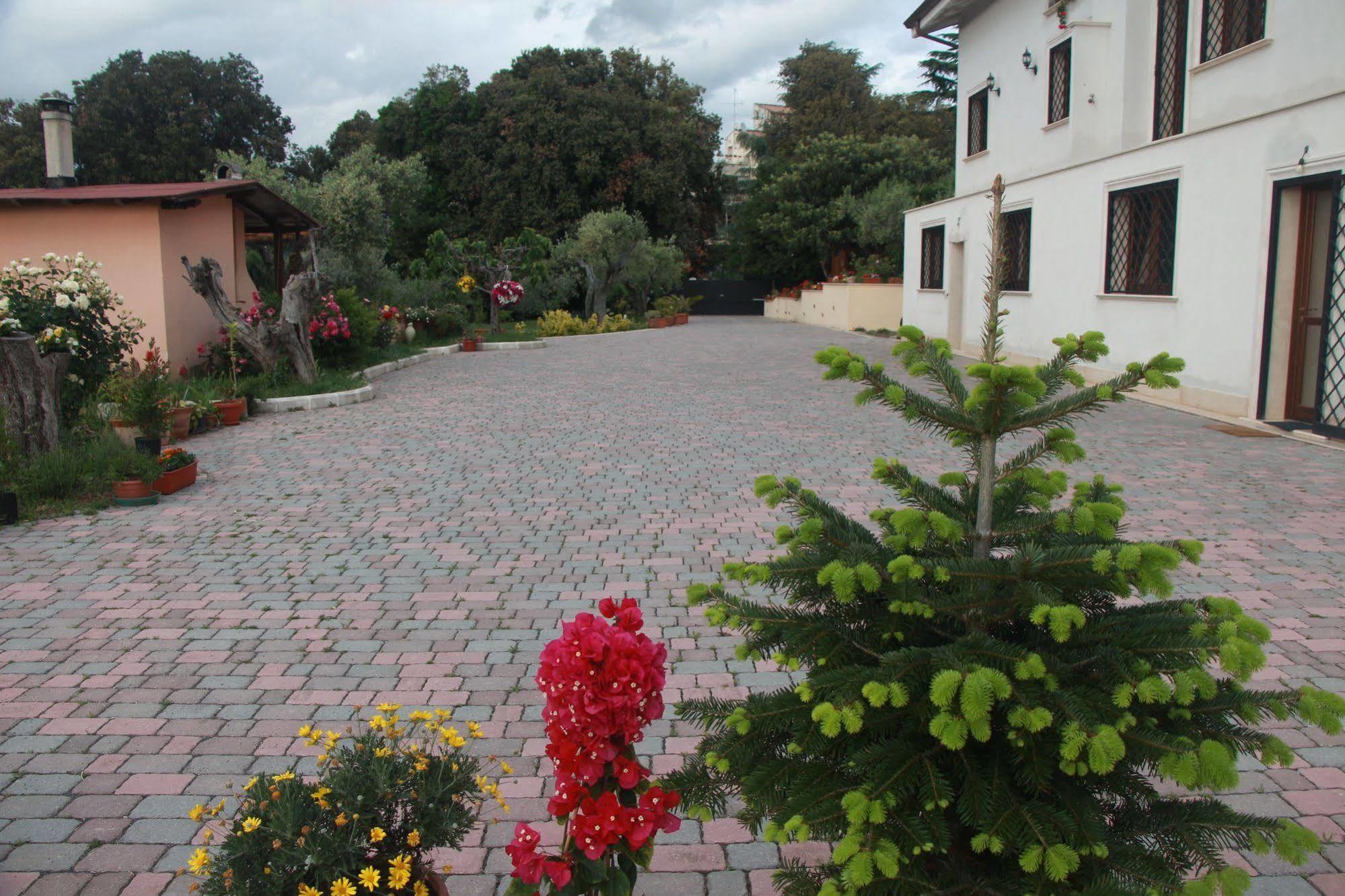 B&B La Terrazza Di Frascati Eksteriør bilde
