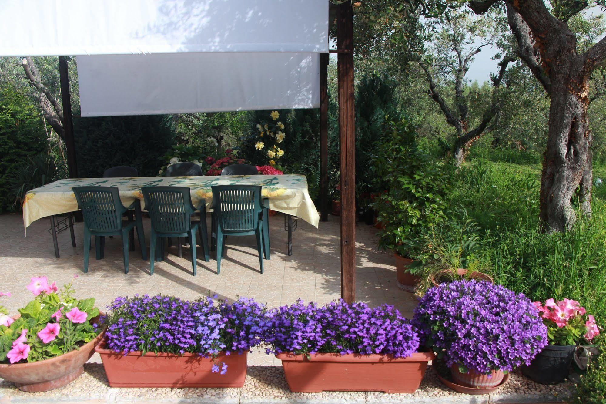 B&B La Terrazza Di Frascati Eksteriør bilde